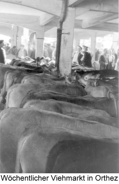 Datei:Viehmarkt in Orthez.jpg